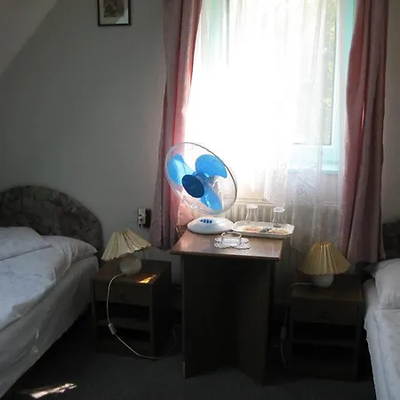 Pensionat Terasz Panzio