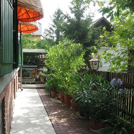 Guest house Terasz Panzio