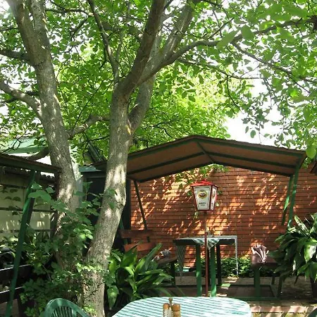 Terasz Panzio Guest house *